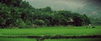 Pu Luong Nature Reserve, A hidden gem